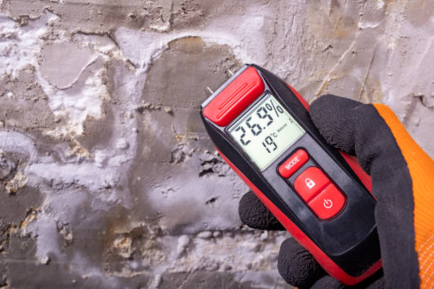 Best Water Damage Restoration  in Munday, TX