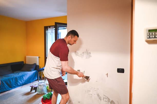 Attic Mold Removal in Munday, TX